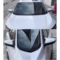 Oled Garaj Honda Civic Fc5 İçin Uyumlu  Yarasa Batman Model Beyaz Boyalı Ayna Kapağı